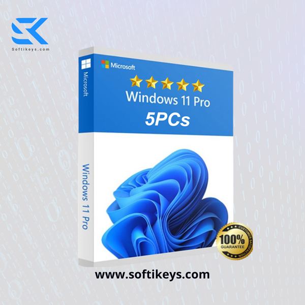 Windows 11 Pro